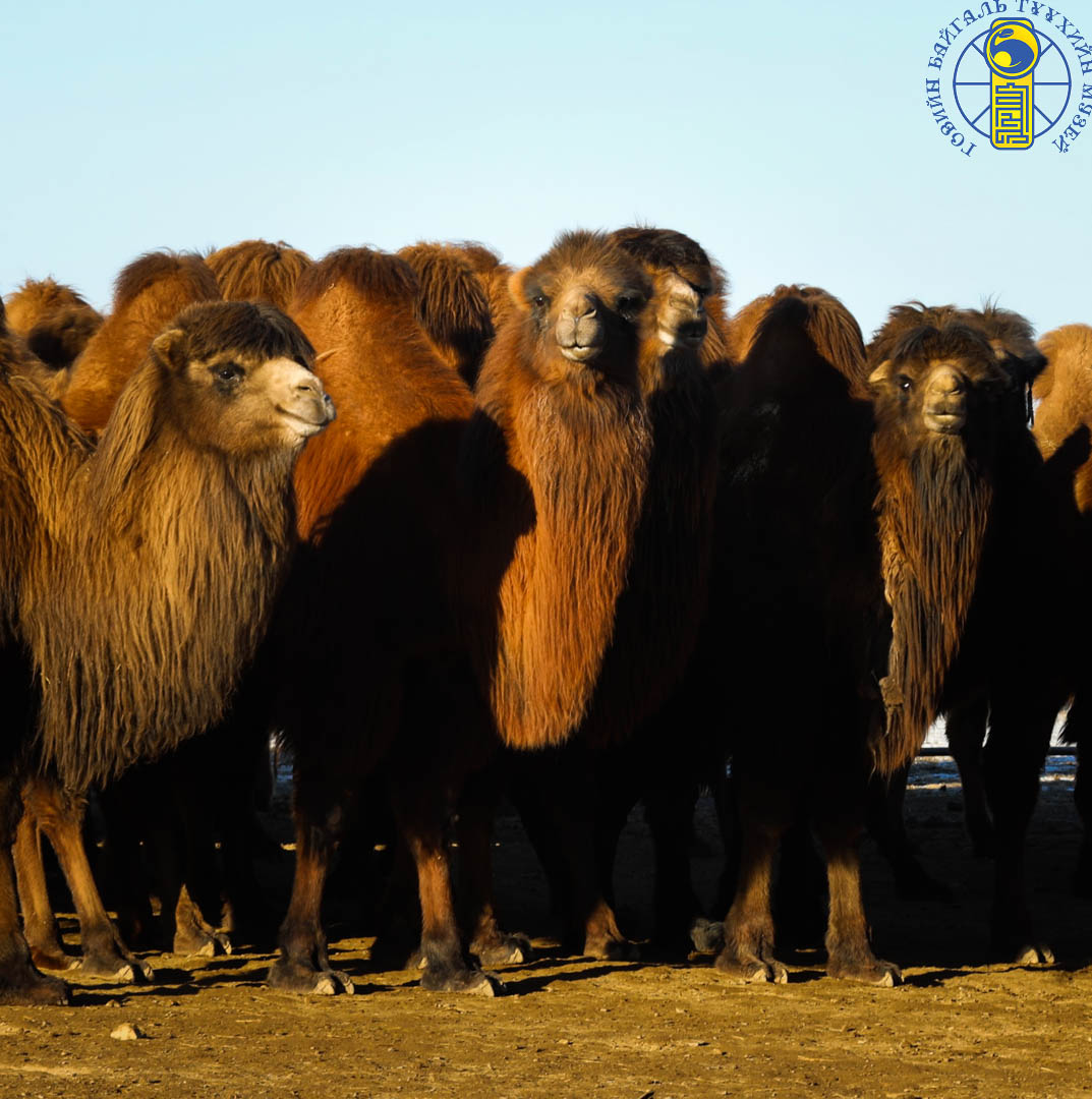 630568079_4275231836048709_7888865034447049973_n.jpg 630568079_4275231836048709_7888865034447049973_n.jpg