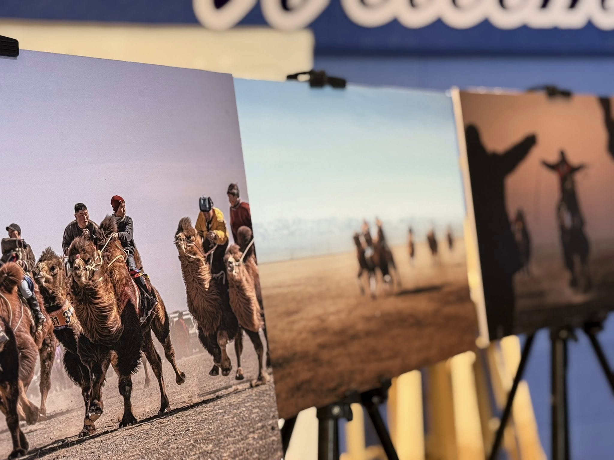 630844361_4273024919602734_5258534862155657505_n.jpg 630844361_4273024919602734_5258534862155657505_n.jpg